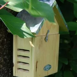 Esschert Design Statuettes Et Figurines Abri à Coccinelles -Vases Soldes abri a coccinelles 4