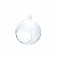 Graine Créative Vases Boule Verre Ouverte 8cm