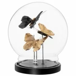 Maisons Du Monde Statuettes Et Figurines Déco à Poser En Verre Avec Papillons Dorés Et Noirs