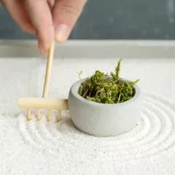 Esschert Design Statuettes Et Figurines Jardin Zen Carré 20 X 20 Cm 6 Esschert Design Statuettes Et Figurines Jardin Zen Carré 20 X 20 Cm -Vases Soldes jardin zen carre 20 x 20 cm 1