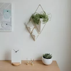 Umbra Lot De 2 Vases Muraux Trigg Céramique Doré -Vases Soldes lot de 2 vases muraux trigg ceramique dore 4