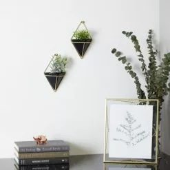 Umbra Lot De 2 Vases Muraux Trigg Céramique Noir -Vases Soldes lot de 2 vases muraux trigg ceramique noir 2