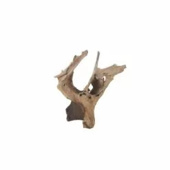 Dijk Statuettes Et Figurines Racine Décorative En Teck H70 Cm