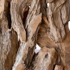 Dijk Statuettes Et Figurines Sculpture Racine En Teck Sur Pied H 200 Cm 10 Dijk Statuettes Et Figurines Sculpture Racine En Teck Sur Pied H 200 Cm -Vases Soldes sculpture racine en teck sur pied h 200 cm 3