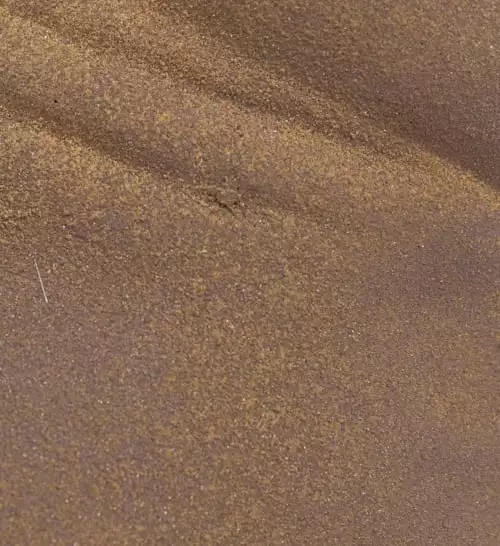 MOYCOR Statuettes Et Figurines Statue Bulldog En Résine Gris 5 MOYCOR Statuettes Et Figurines Statue Bulldog En Résine Gris – Image 3