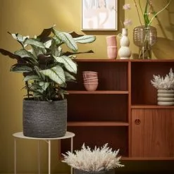 Mica Decorations Vases Vase En Aluminium Beige H24 -Vases Soldes vase en aluminium beige h24 7