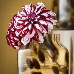 Mica Decorations Vases Vase En Verre Recyclé Marron H22,5 -Vases Soldes vase en verre recycle marron h22 5 1